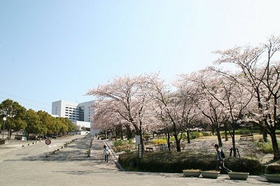 Chuo University