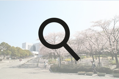 Quick search